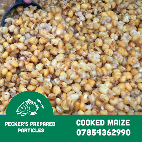 Premium Cooked Maize Particle Mix - Perfect for Carp Fishing